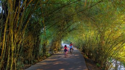 ភូមិ​នេះ​ត្រជាក់​ជាមួយ​ម្លប់​ឫស្សី​បៃតង។