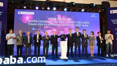 Selecting businesses to participate in Vietnam National Pavilion on Alibaba.com