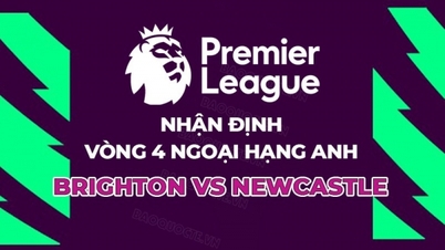 យោបល់, ហាងឆេង Brighton vs Newcastle, 23:30 ខែកញ្ញា 2