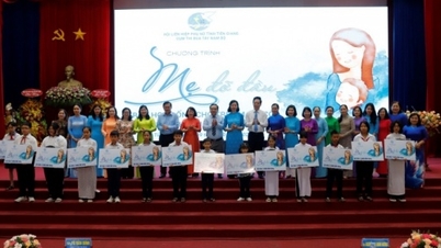 Tien Giang៖ ផ្តល់កិត្តិយសដល់ស្ត្រីមូលដ្ឋានឆ្នើមចំនួន 60 នាក់ក្នុងក្រុមនិរតី