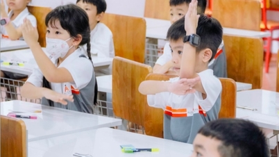 Integrating human rights content into primary school curriculum