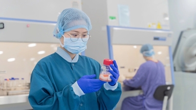 Vinmec đạt chứng nhận AABB về thu thập, xử lý, lưu trữ, phân phối tế bào gốc