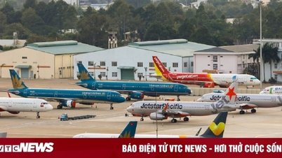 Ghế trống còn nhiều, vì sao giá vé máy bay dịp Tết vẫn cao ngất?