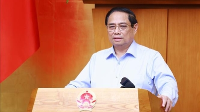 Thủ tướng: Bộ trưởng chịu trách nhiệm để các luật thực sự đi vào cuộc sống