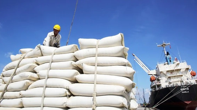 Biến động thị trường gạo