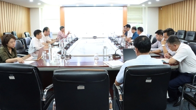 Bộ TN&MT rà soát TTHC tại dự thảo Nghị định sửa đổi, bổ sung một số điều của các Nghị định trong lĩnh vực khoáng sản