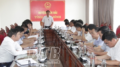 Tiền Hải: Giá trị sản xuất 6 tháng ước đạt 11.092,1 tỷ đồng