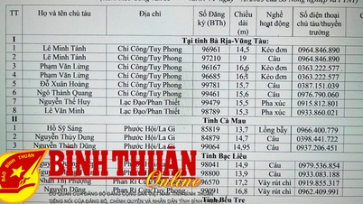 Rà soát danh sách, nắm thông tin tàu cá Bình Thuận lưu trú, hoạt động ngoài tỉnh