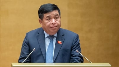 Building a legal framework for salary reform from July 1, 2024