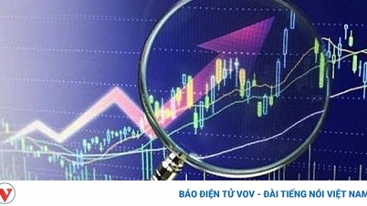 Một số cổ phiếu cần quan tâm ngày 10/12