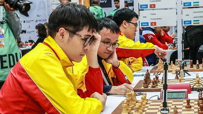 Cờ vua Việt Nam đứng hạng 25 Olympiad 2024