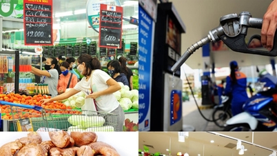 Prime Minister directs to strengthen price management and control measures
