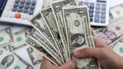 2024年10月30日今日の米ドル為替レート：米ドルがピークに達する