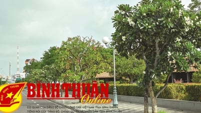 រដូវក្តៅនៅទីក្រុងមាត់សមុទ្រ
