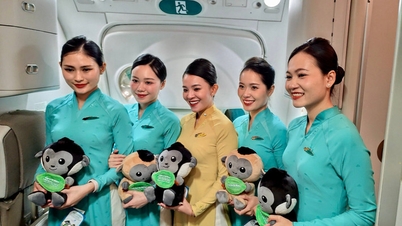 Chuyến bay đặc biệt của Vietnam Airlines với lời tuyên ngôn bảo vệ môi trường