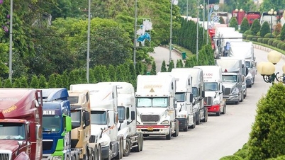 Đề nghị cho phép xuất khẩu thủy sản sống qua cửa khẩu tại tỉnh Vân Nam