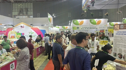 Vietnam Foodexpo – 10 Jahre Förderung vietnamesischer Lebensmittelmarken