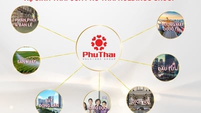 Bức tranh Phú Thái Holdings: Hệ sinh thái của những thương hiệu lớn, uy tín