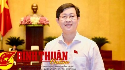 Chuyển tải nguyện vọng của cử tri đến Quốc hội