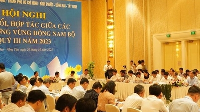 Các địa phương vùng Đông Nam Bộ đẩy nhanh các dự án trọng điểm