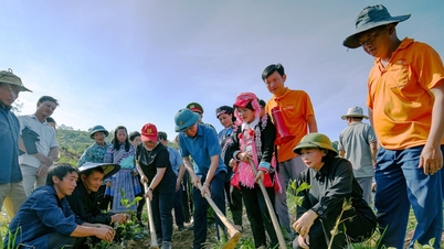 Muong Khuong district deploys new tea planting season in 2023