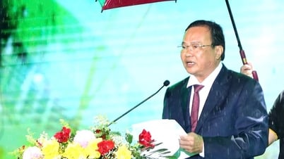 Tỉnh Trà Vinh chính thức khai mạc festival cho loài cây đã được trồng 100 năm, khẳng định giá trị kinh tế