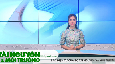 Bản tin Truyền hình Tài nguyên và Môi trường số 25/2023 (số 307)