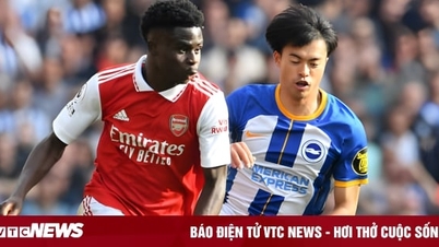 Giải mã Chim hải âu