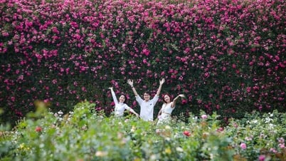 Nhiều trải nghiệm không nên bỏ lỡ tại Fansipan dịp 30/4