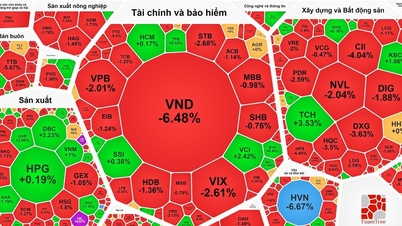 Vietnam Airlines' HVN shares hit the floor due to trading restrictions
