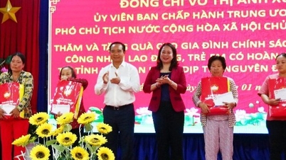 Phó Chủ tịch nước Võ Thị Ánh Xuân thăm, tặng quà Tết tại tỉnh Long An