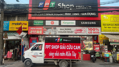 FPT Shop triển khai chiến dịch ủng hộ cam nhà vườn miền Tây