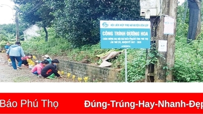 Những điển hình làm theo Bác