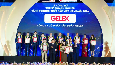 GELEX và hành trình 34 năm bước vững bước