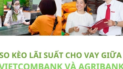 Agribank and Vietcombank loan interest rates, lowest 4%/year