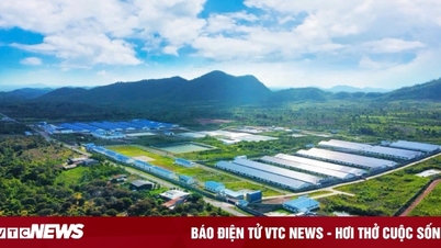 Chuỗi dự án nông nghiệp sắp mang về 2 tỷ USD mỗi năm của DHN