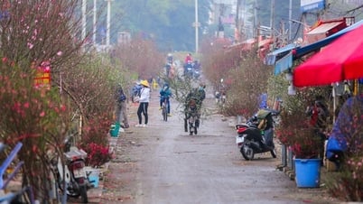 Nền nhiệt tăng 10 độ C, miền Bắc ấm lên ít nhất 1 tuần