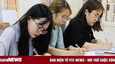 Ngành Chính sách công là gì?