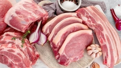 Giá heo hơi miền Bắc đi xuống, Kiên Giang giao dịch thấp nhất cả nước