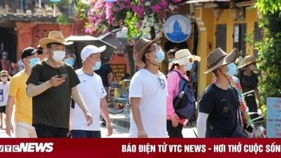 Establish a travel company with Quoc Viet Accounting
