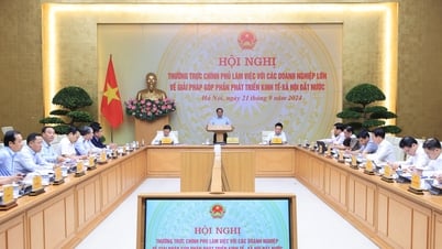 Hội nghị của Thường trực Chính phủ làm việc với các doanh nghiệp lớn