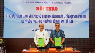Da Nang and Quang Nam agree to propose establishing an organization to manage the Vu Gia river basin.