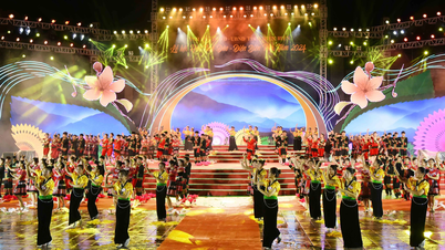 ពិធីបើកពិធីបុណ្យផ្ការីក - Dien Bien Phu ឆ្នាំ 2024