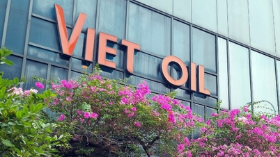 ក្រសួង​ចំនួន​ពីរ​បន្ត​ទាមទារ​ប្រេង​ Xuyen Viet ​នៅ​តែ​មិន​បាន​បង់​ប្រាក់​ជាង​ 200 ពាន់​លាន​ដល់​មូលនិធិ​ស្ថិរភាព​តម្លៃ