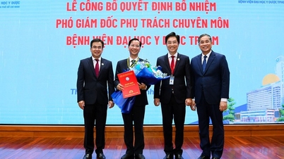 El Hospital Universitario de Medicina y Farmacia de la ciudad de Ho Chi Minh nombra a dos nuevos subdirectores