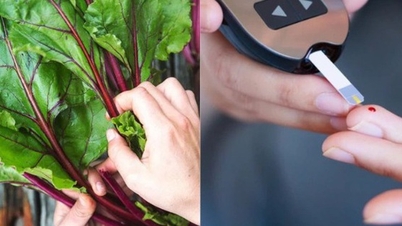Loại rau mùa đông sặc sỡ giúp ổn định đường huyết, người bệnh tiểu đường nên ăn để kéo dài tuổi thọ