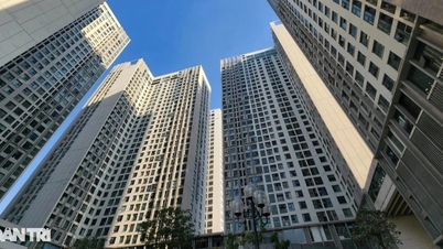 Người nước ngoài được sở hữu bao nhiêu nhà ở, chung cư tại Việt Nam?