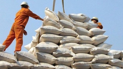 Philippines quyết định giảm thuế nhập khẩu gạo, gạo Việt có tác động ra sao?