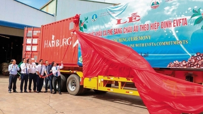 Ban hành văn bản về việc khảo sát nhu cầu đào tạo để thực thi và tận dụng các FTA