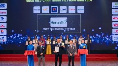 Herbalife Việt Nam đạt chứng nhận Nhãn hiệu nổi tiếng